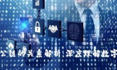 冷钱包与公链的关系解析：深度理解数字资产安