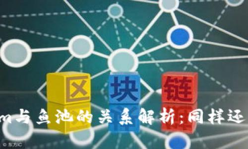 TokenIm与鱼池的关系解析：同样还是不同？