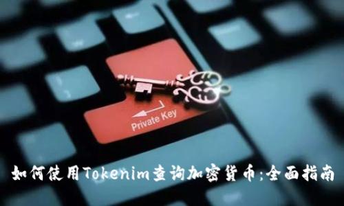 如何使用Tokenim查询加密货币：全面指南