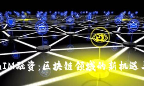 TokenIM融资：区块链领域的新机遇与挑战