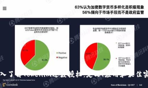 深入了解Tokenim过渡授权：定义、应用和最佳实践