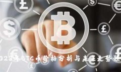 2023年BTC币价格分析与未来走势预测