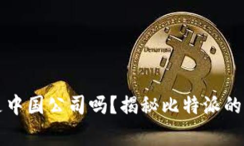 比特派是中国公司吗？揭秘比特派的背后故事