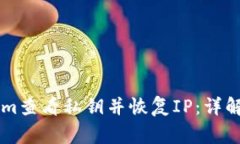 如何使用TokenIm查看私钥并恢复IP：详解步骤与注
