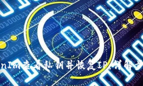 如何使用TokenIm查看私钥并恢复IP：详解步骤与注意事项