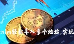 如何通过Tokenim轻松导入多个地址，实现数字资产