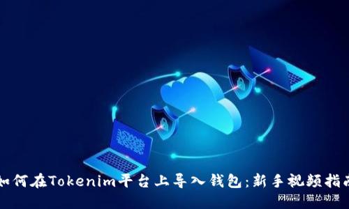 如何在Tokenim平台上导入钱包：新手视频指南