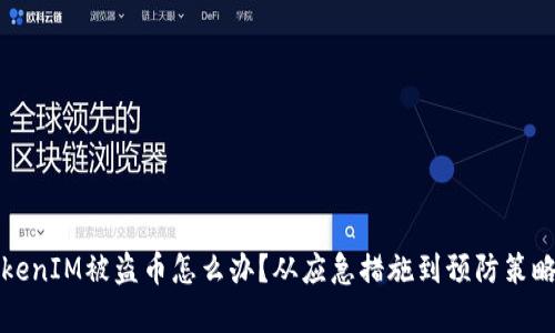 遇到TokenIM被盗币怎么办？从应急措施到预防策略全解析