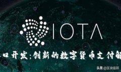USDT接口开发：创新的数字货币支付解决方案
