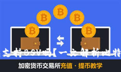 Ledger冷钱包支持BSV吗？一文解析比特币SV支持情况