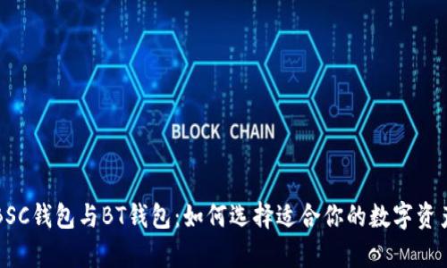 深度解析BSC钱包与BT钱包：如何选择适合你的数字资产管理工具