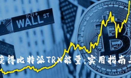 如何高效获得比特派TRX能量：实用指南与独特方法