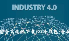 如何安全高效地下载iOS冷钱包：全面指南