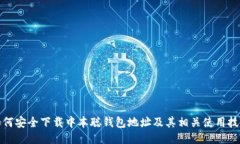 如何安全下载中本聪钱包地址及其相关使用技巧