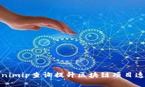 如何使用Tokenimip查询提升区块链项目透明度与安全性