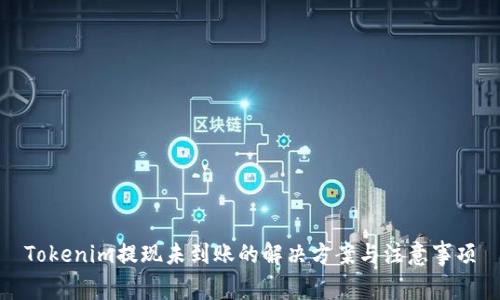 Tokenim提现未到账的解决方案与注意事项