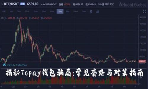 揭秘Topay钱包骗局：常见套路与对策指南