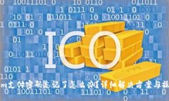 Tokenim支付密码忘记了怎么办？详细解决方案与操