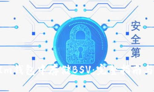 如何在TokenIm钱包中存储BSV：完整指南与常见问题解答