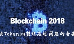 : 解决Tokenim转账延迟问题的全面指南