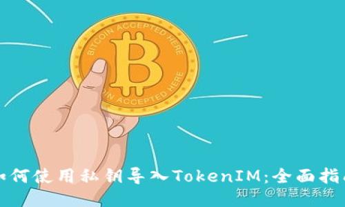 如何使用私钥导入TokenIM：全面指南
