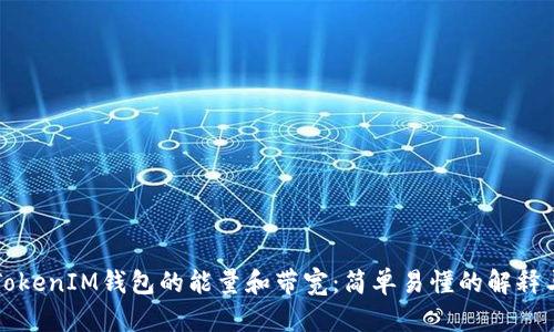 深入了解TokenIM钱包的能量和带宽：简单易懂的解释与应用指南