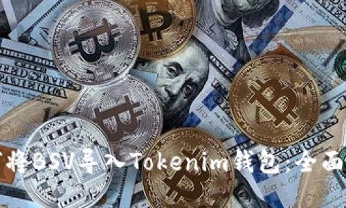 如何将BSV导入Tokenim钱包：全面指南