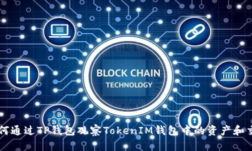 如何通过TP钱包观察TokenIM钱包中的资产和交易