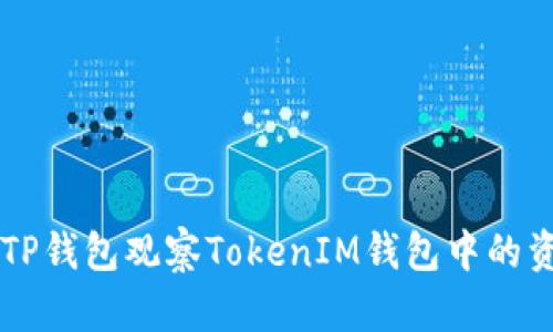 如何通过TP钱包观察TokenIM钱包中的资产和交易