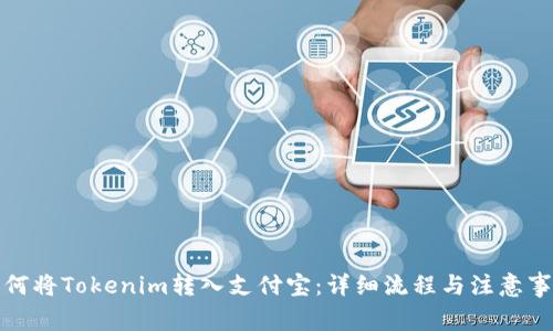 如何将Tokenim转入支付宝：详细流程与注意事项