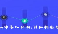 如何在Tokenim中导入私钥：详细指南与常见问题解