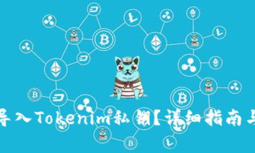 如何安全导入Tokenim私钥？详细指南与注意事项