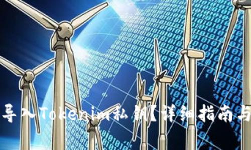 如何安全导入Tokenim私钥？详细指南与注意事项