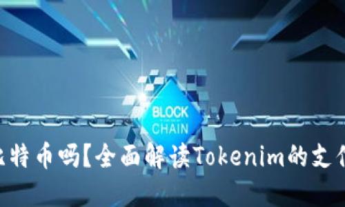 Tokenim能收比特币吗？全面解读Tokenim的支付功能与安全性