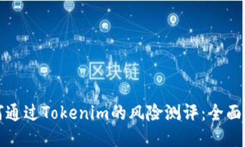 如何通过Tokenim的风险测评：全面指南
