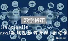 xiaojie/xiaojieSafepal冷钱包如何升级：全方位指南