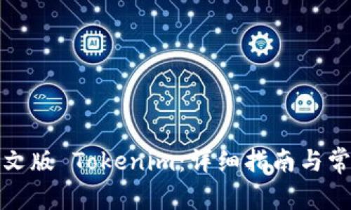 如何下载中文版 Tokenim：详细指南与常见问题解答