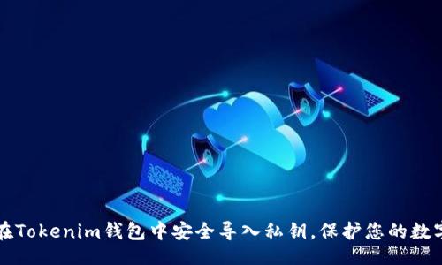 示例：
如何在Tokenim钱包中安全导入私钥，保护您的数字资产