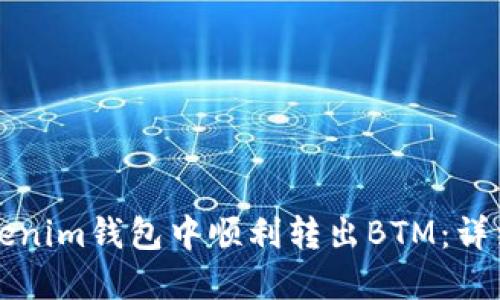 如何在Tokenim钱包中顺利转出BTM：详细操作指南
