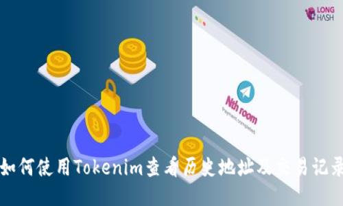 如何使用Tokenim查看历史地址及交易记录