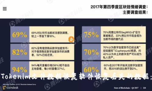 如何使用Tokenim文件数据恢复软件恢复丢失的数据：完整指南